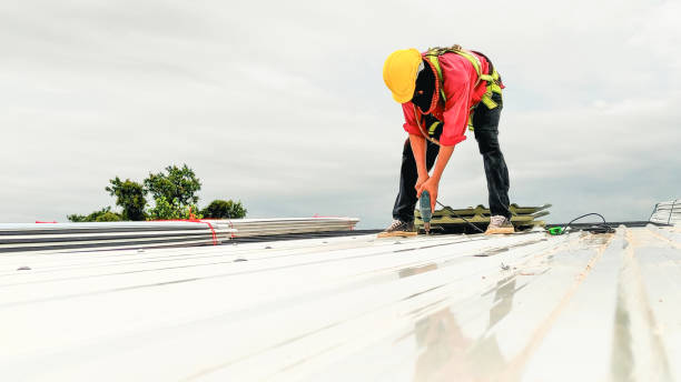 Best Roof Maintenance and Cleaning  in Coral Terrace, FL